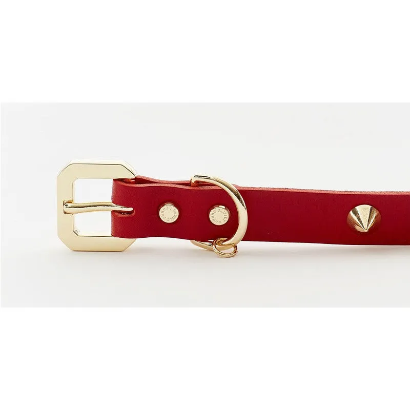 Golden Spike Red Collar – Bold, Durable, Luxurious