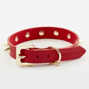 Golden Spike Red Collar – Bold, Durable, Luxurious