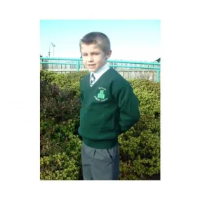 Seagoe Primary Jumper